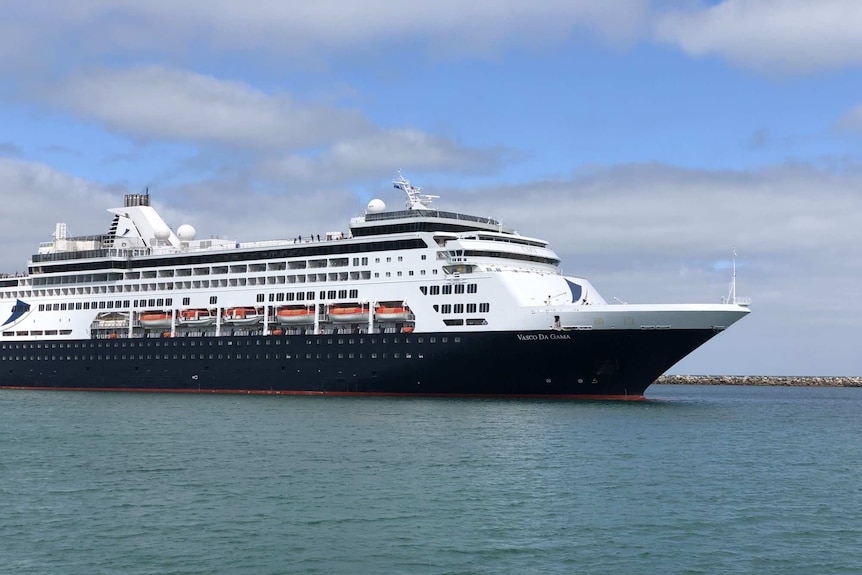 The Vasco da Gama cruise ship with a tug at Outer Harbour.