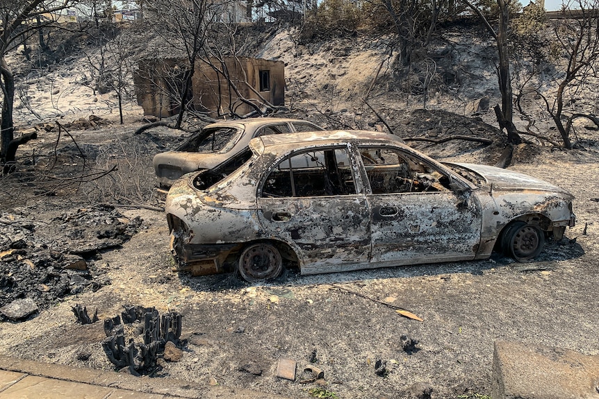 Burnt out cars lay among wildfire debris on the island of Rhodes