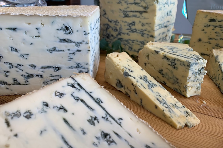close up of white blue vein cheese 