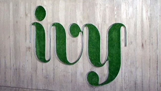 Ivy bar sign