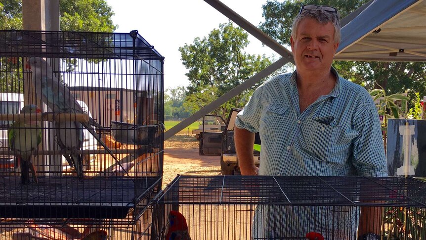 Humpty Doo bird breeder Paul stands behind parrot cages at markets just outside of Darwin