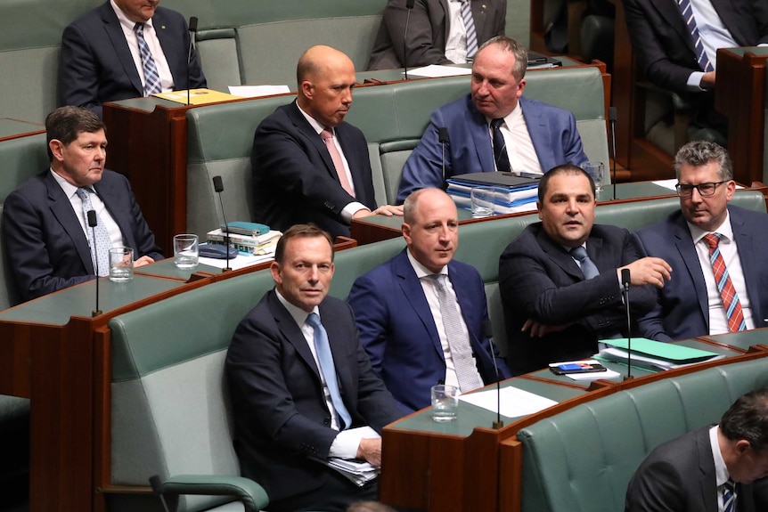 Men in suits sit in cascading leather chairs at leather bound desks with microphones popping out of them