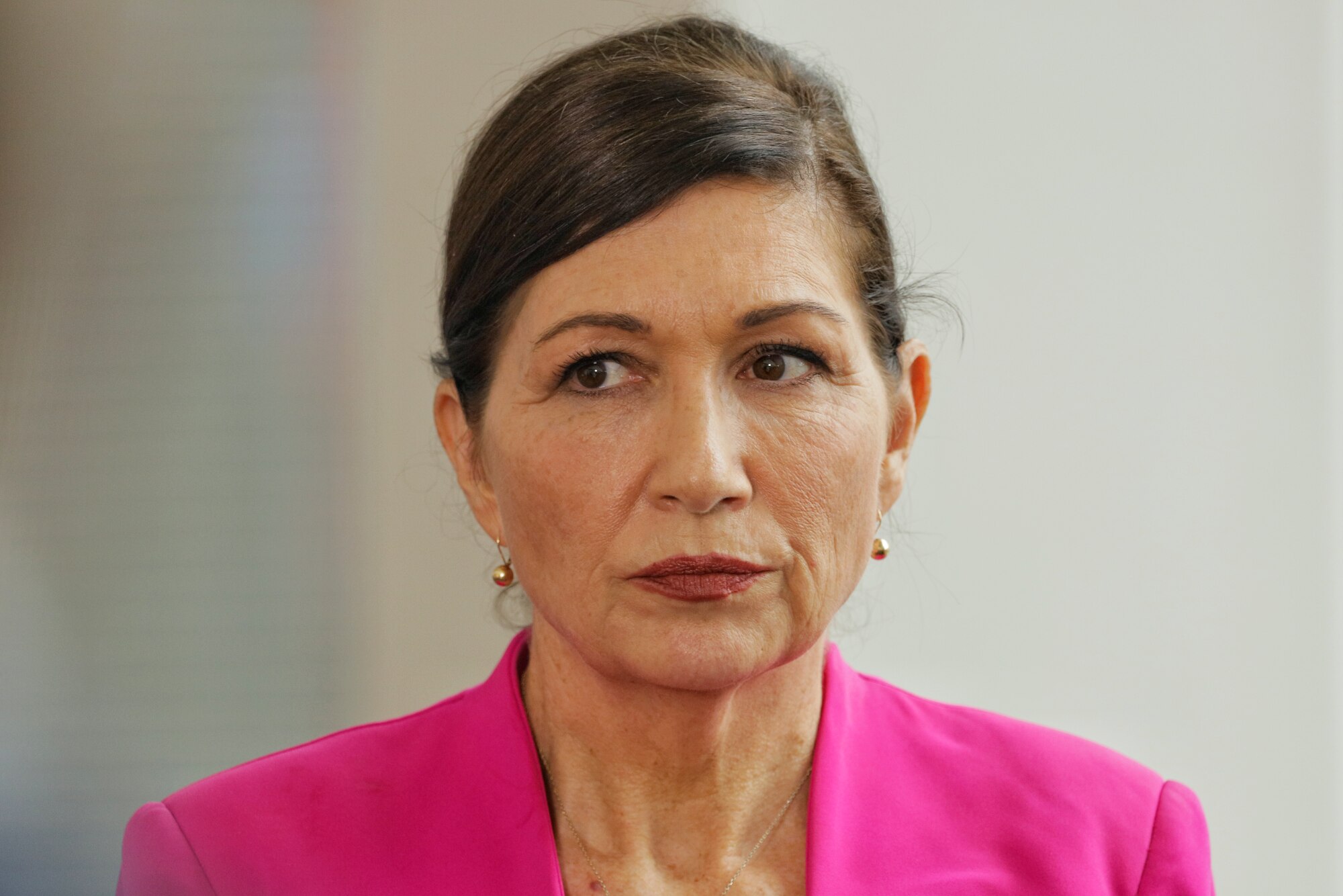 A close-up of Leeanne Enoch, who has a dark brown updo and is wearing a pink blazer