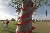 Rheumatic heard disease flags on boab tree in Broome 11 January 2015