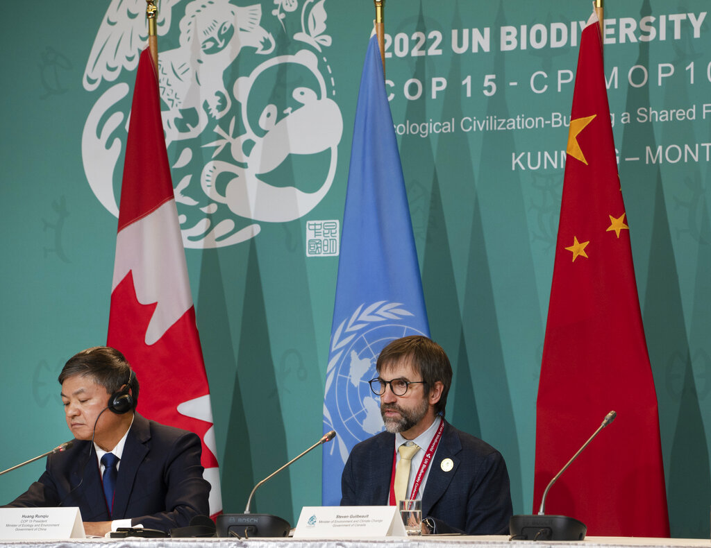 'Historic' Agreement Reached At UN Conference To Halt Biodiversity Loss ...