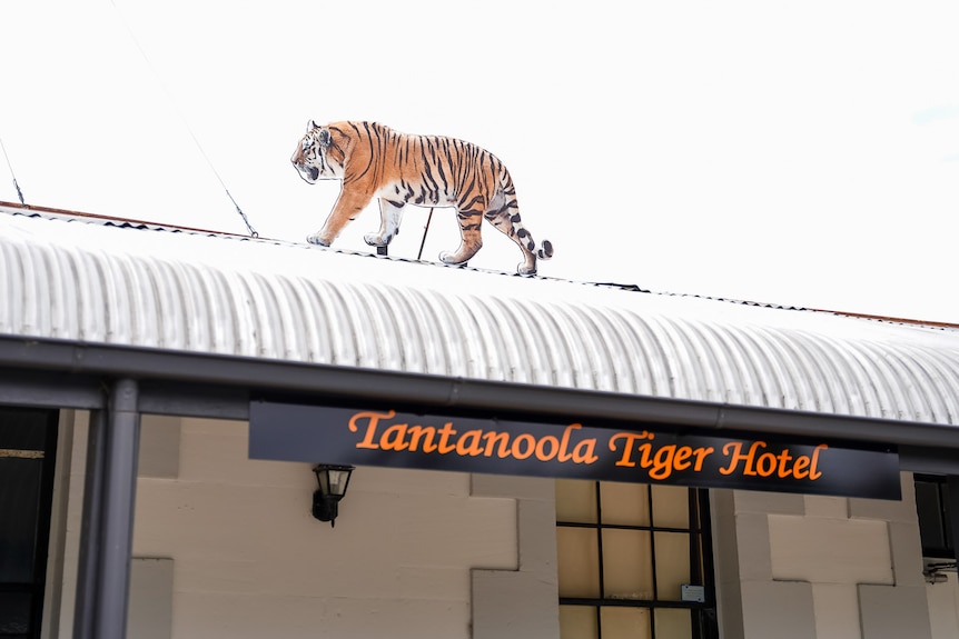 Un pub con un tigre recortado en el techo