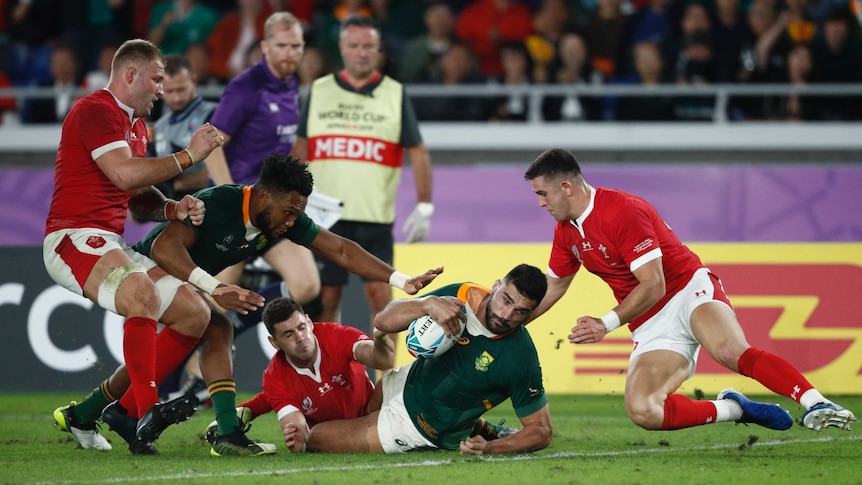 A South African player looks to put the ball over the goal line for a try against Wales in a Rugby World Cup semi-final.