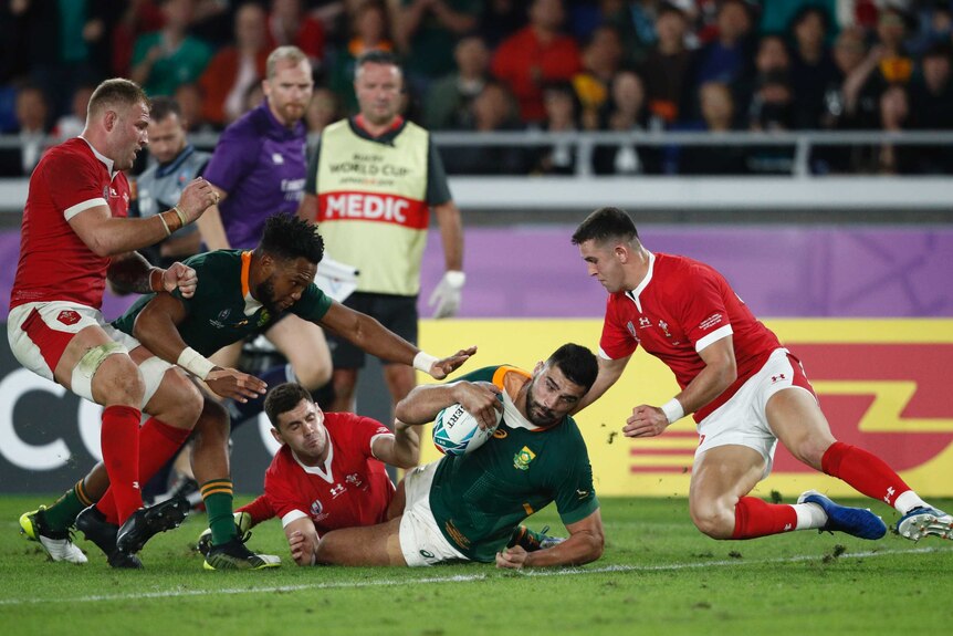 A South African player looks to put the ball over the goal line for a try against Wales in a Rugby World Cup semi-final.