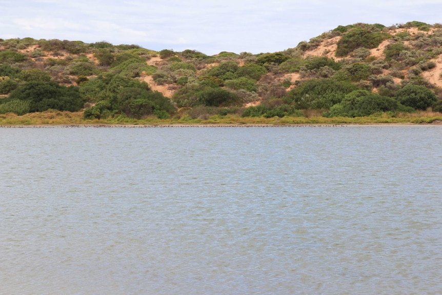 The Coorong river in South Australia.