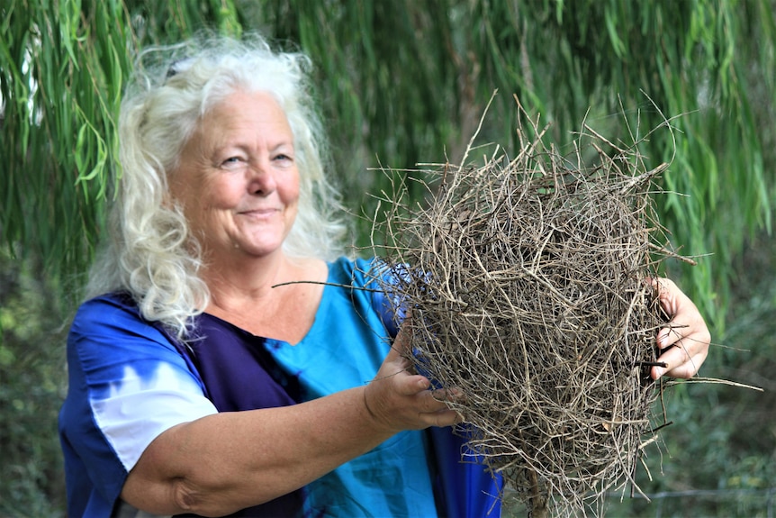  A woman is standing in her backyard holding what looks like a nest, but is a possum drey