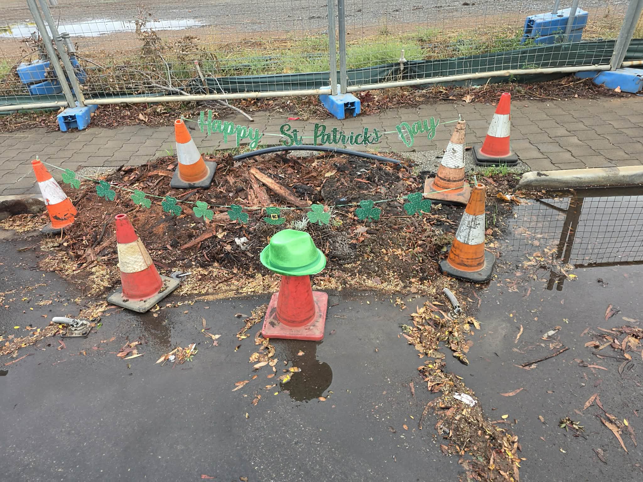 Stump that created 'craic' in footpath becomes neighbourhood attraction