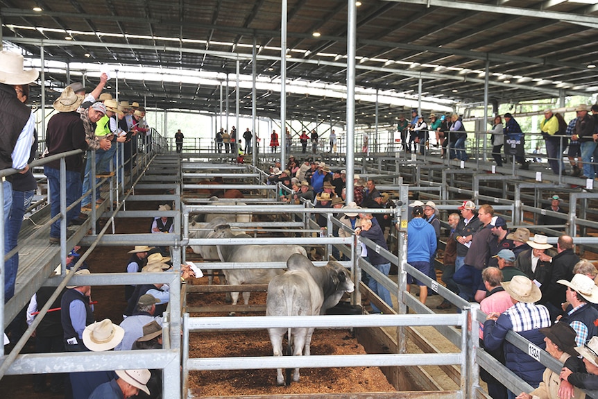 Buyers and vendors fill walkways and laneways at NRLX for sale.