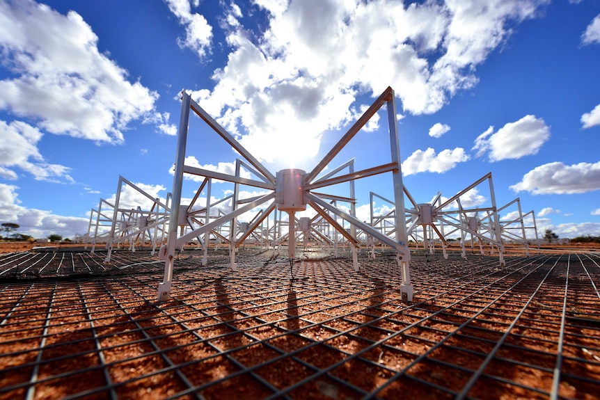 Dipole antennas of the Murchison Widefield Array (MWA) radio telescope in Mid West Western Australia