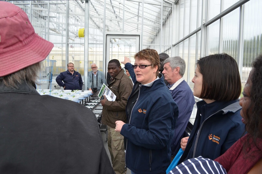 Dr Sally Norton(m), Head of the Australian Grains Genebank, talks to gene bank managers.