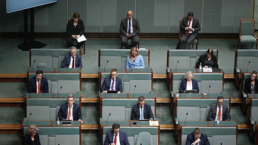 Labor politicians sit with large gaps between them in the green House of Representatives