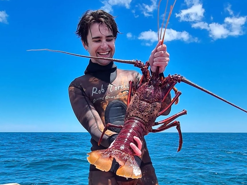 Image of a man holding a freshly caught western rock lobster
