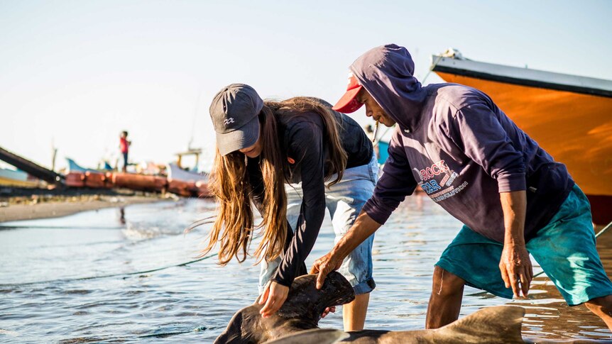 A young women and a fisherman inspect a dead hammerhead shark in the shallows