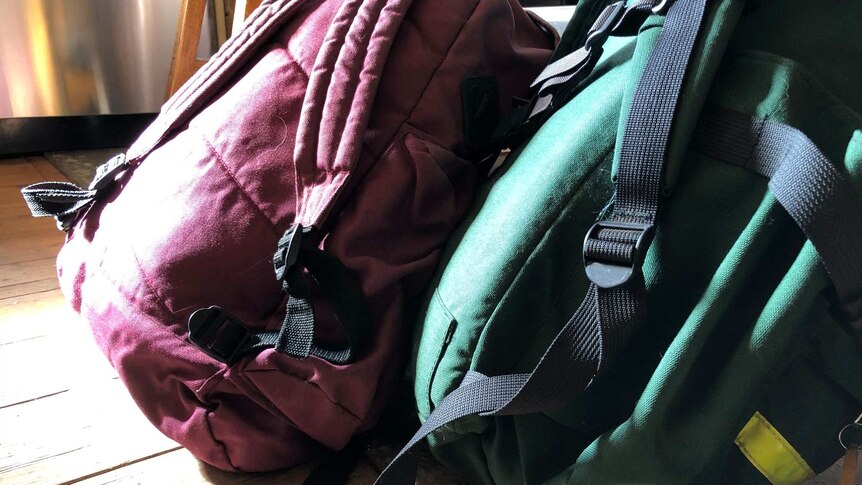 A purple backpack and green backpack sitting on a wooden floor with the sun shining on them through a window.