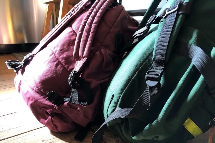 A purple backpack and green backpack sitting on a wooden floor with the sun shining on them through a window.