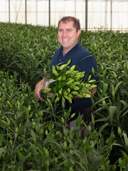 Flower farmer stands in a crop of lilies, with a bunch of flowers in his hands.