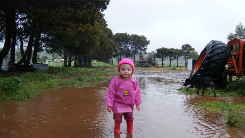 Two-year-old Chelsea Shepped enjoys the water in her Poonindie home on the Lower Eyre Peninsula