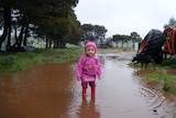 Two-year-old Chelsea Shepped enjoys the water in her Poonindie home on the Lower Eyre Peninsula