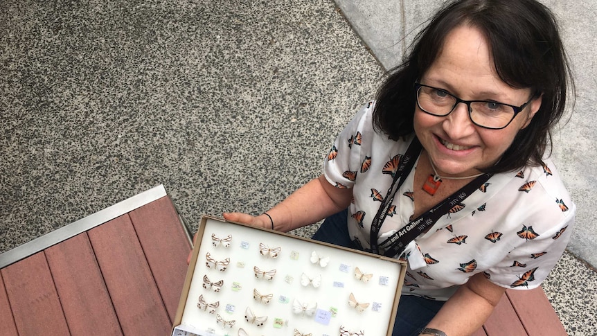 Dr Catherine Byrne, a zoologist from the Tasmanian Museum and Art gallery holds a box of moth specimens