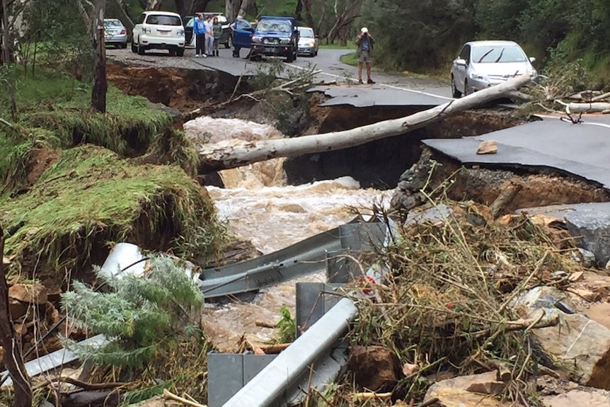 Montacute Road damaged by storm