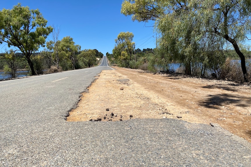 A long road with a damaged section close to the camera, and trees on either side