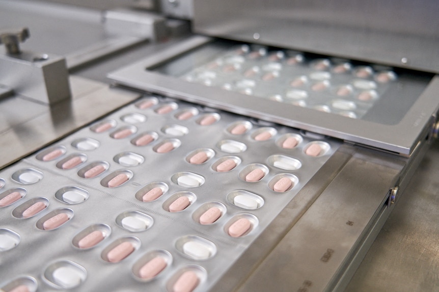 Pfizer's new COVID pills in their packaging coming off the production line.