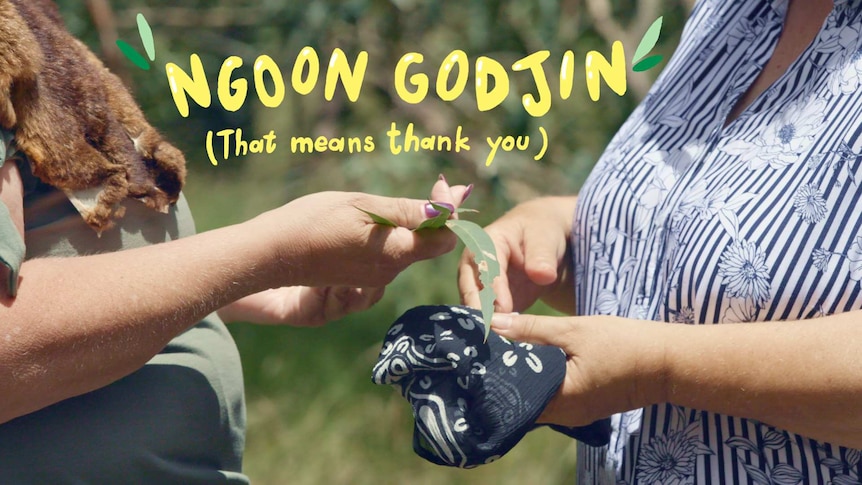 Hands of Indigenous woman hands gum leaves to someone, text overlay reads "Ngoon Godjin (that means thank you)"
