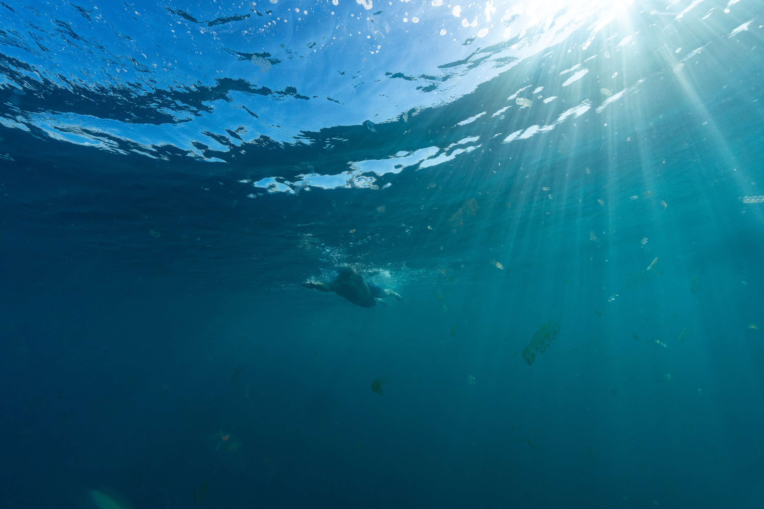 Jono Ridler with wildlife in the water