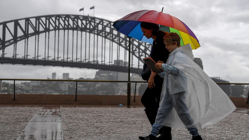 Sydney rain