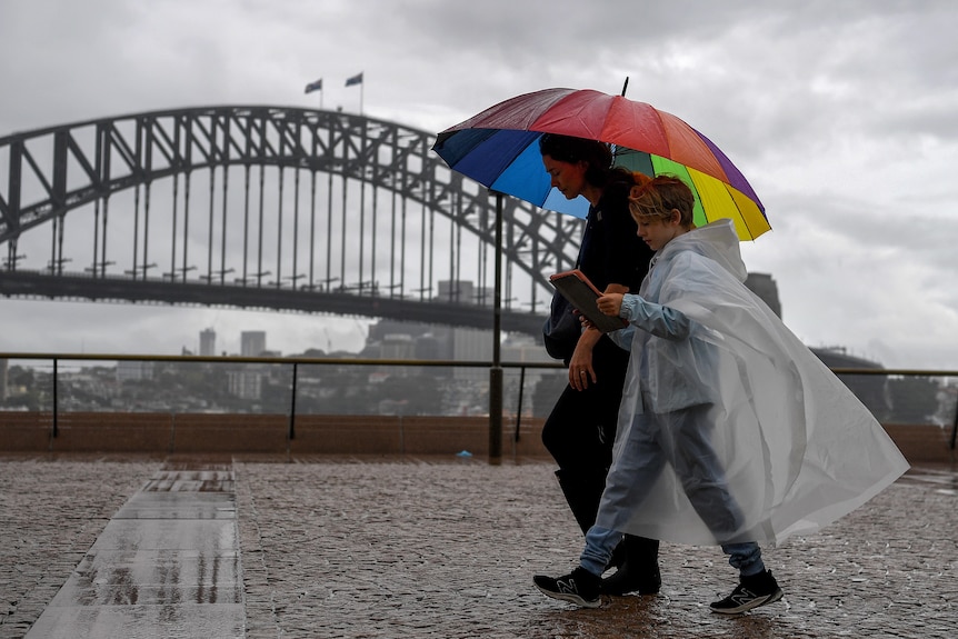 Sydney rain