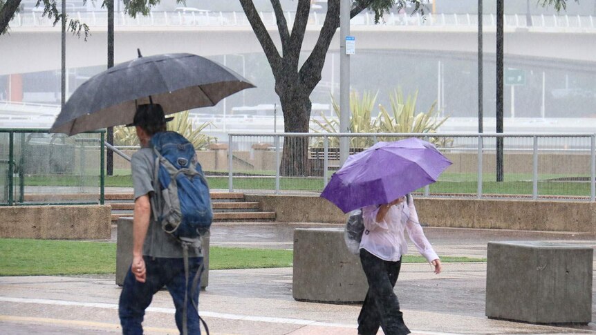 Rain has been falling steadily over inner Brisbane on Friday morning.