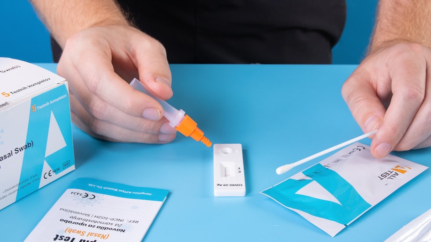 A close-up of a person using a rapid antigen test, holding a swab in one hand and a dropper bottle over the test in the other.