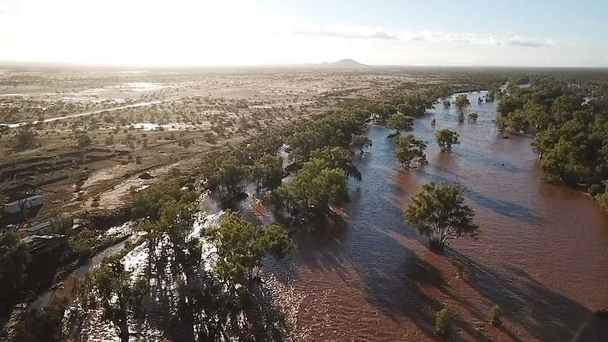 Image of a river flowing through very dry land.