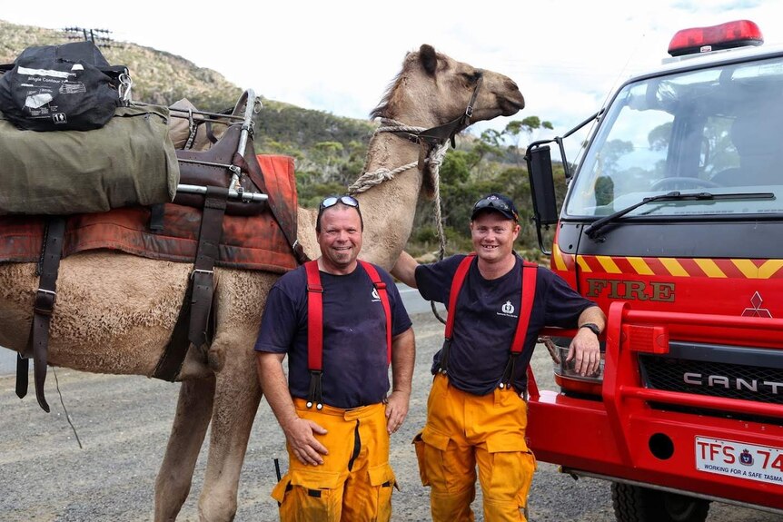 Two Tasmanian Fire Service volunteers stand next to a camel and their fire truck.