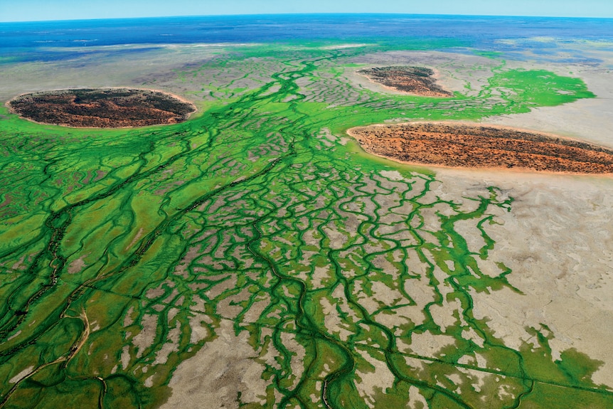 Aerial view of a dark web of rivulets between green and islands of red sand, Channel Country of Queensland