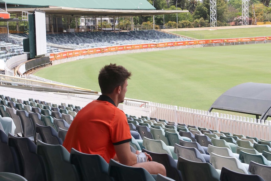 A shot from behind Mitch Marsh as he sits in the stands at the WACA Ground in Perth looking out on the playing field.