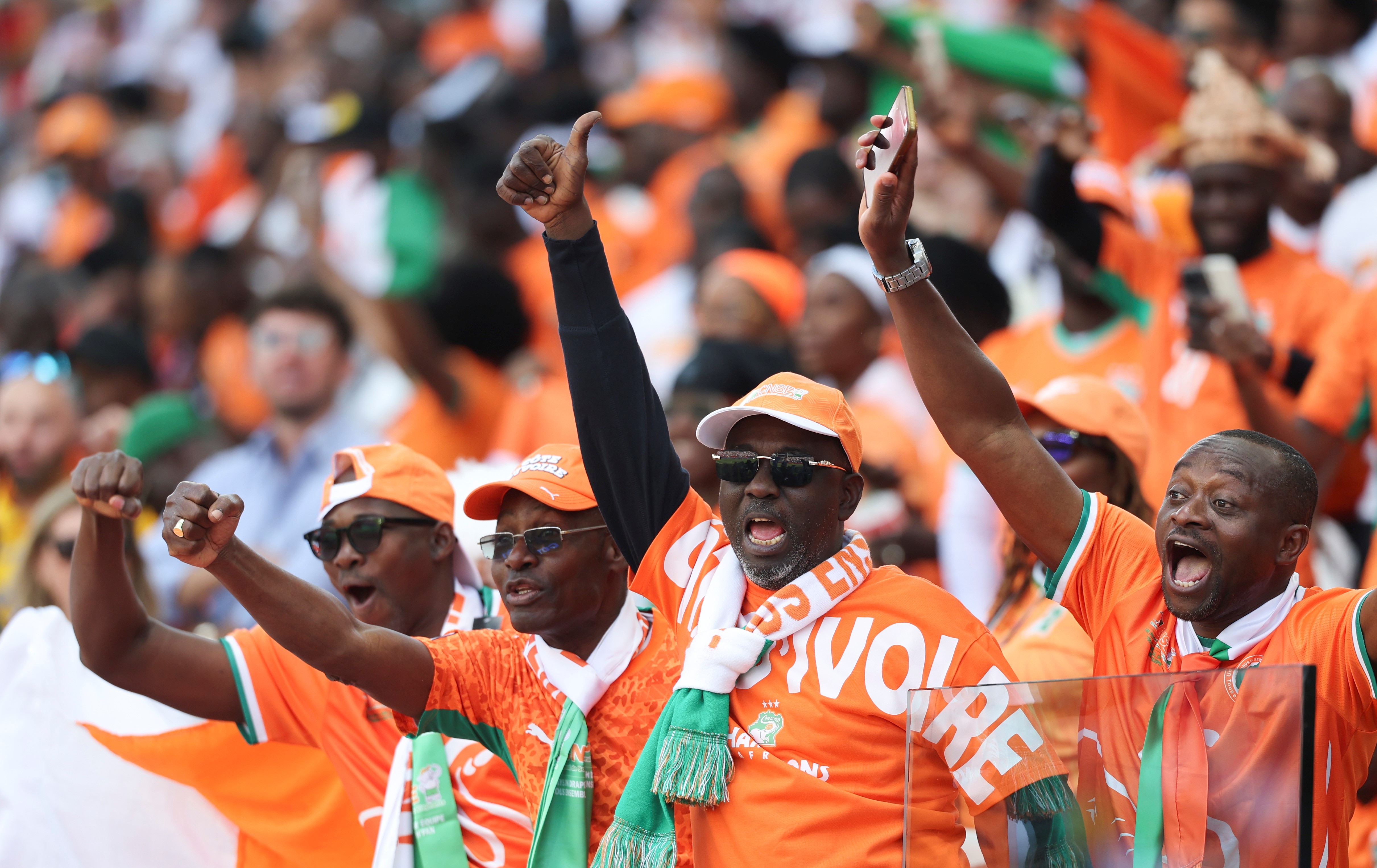 Several Cote d'Ivoire fans cheer during a World Cup game
