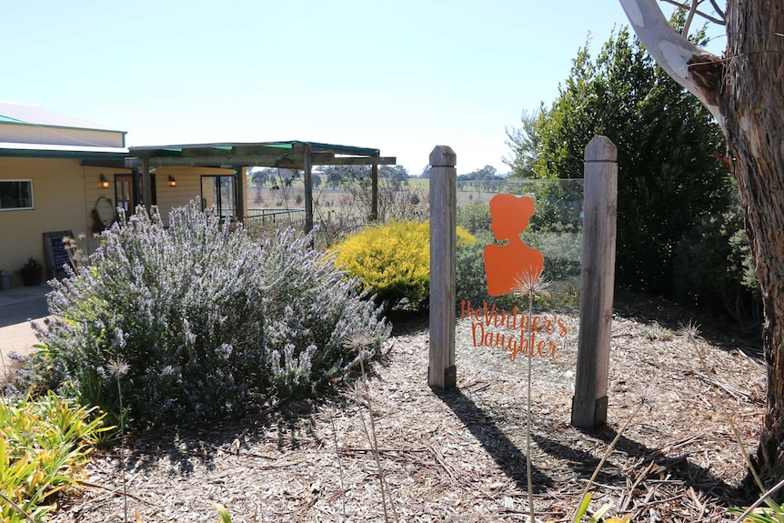 Wide shot of a sign saying the vintner's daughter with a lavender bush and a building in the background.