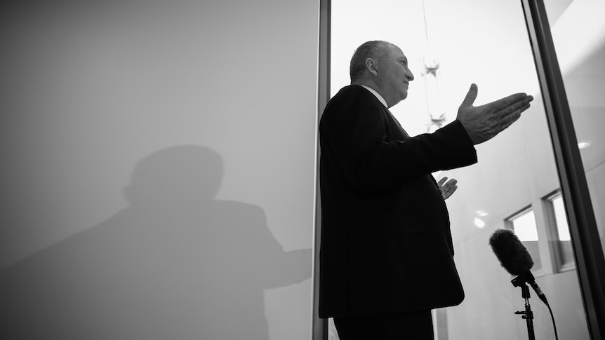 Barnaby Joyce in black and white from a low angle speaking at a press conference with his shadow on the wall behind him