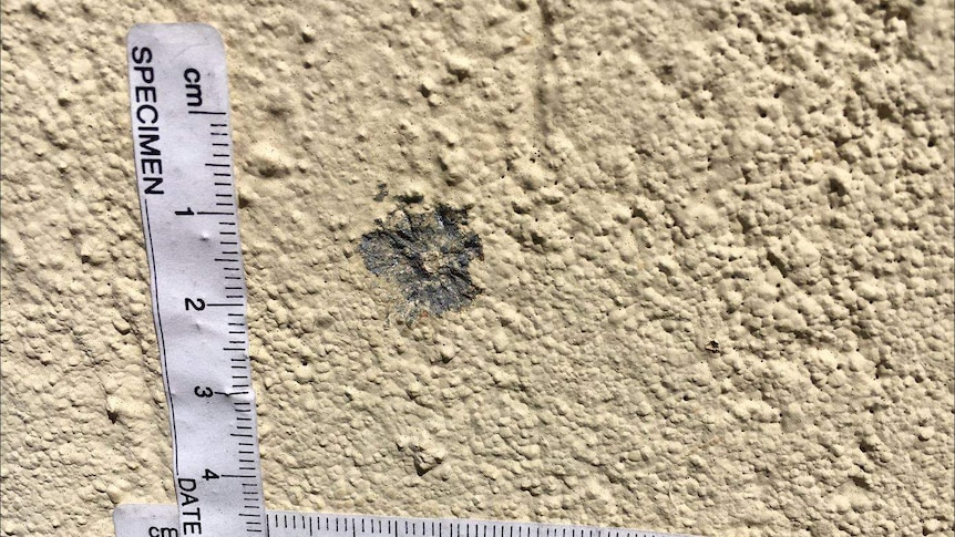 A bullet hole imprinted on a painted wall.