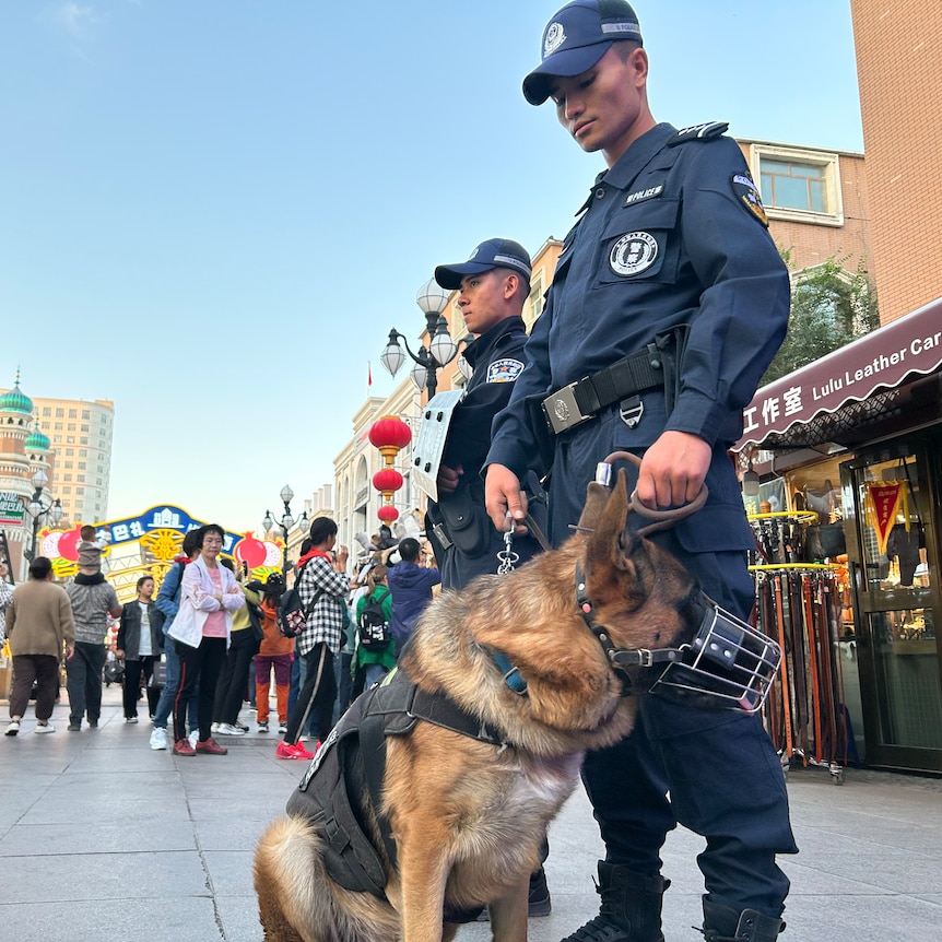 一名警察牵着一条警犬