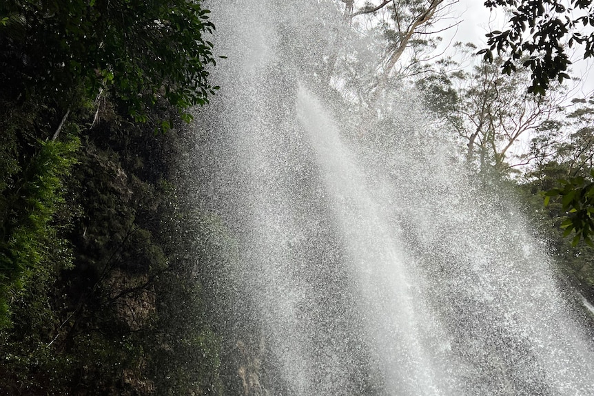 Water from a waterfall is seen gushing down a mountain in Springbrook National Park 