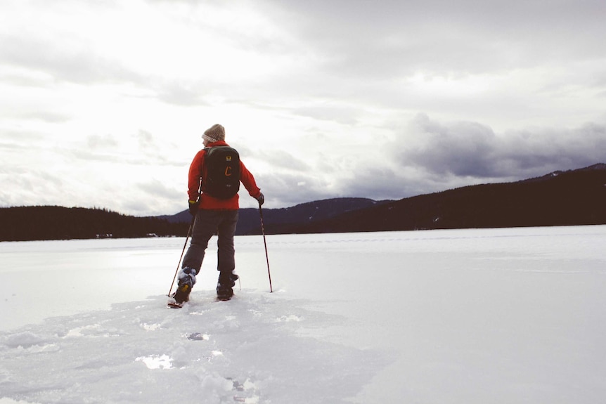 A man pauses while skiing in Finland.