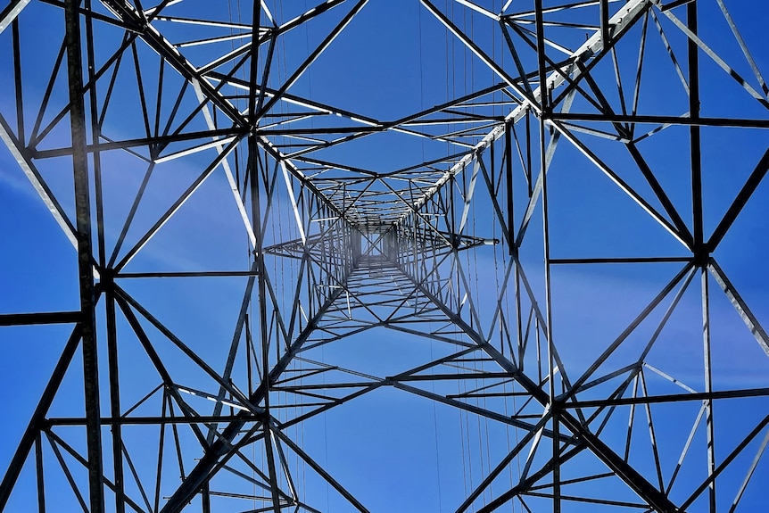 Vista desde el medio de un poste de energía en Queensland.  Reserva recreativa de Stretton.