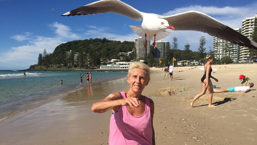 Gold Coast woman Lesley Reay plays with a friendly seagull at the beach