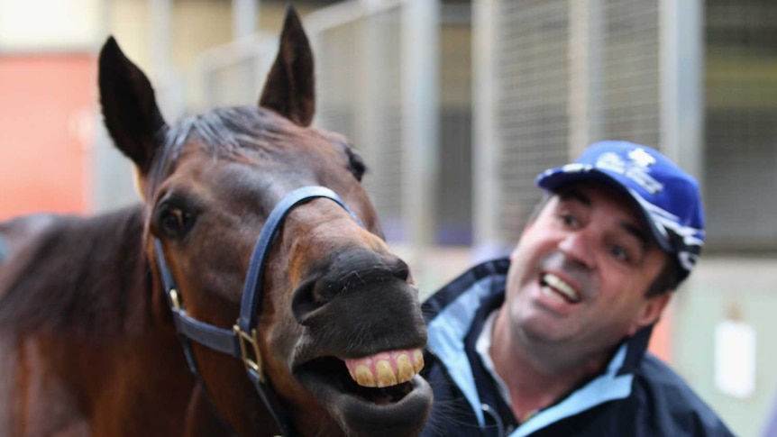 December Draw with trainer Mark Kavanagh